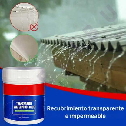 Impermeabilizante Transparente 300g x 2